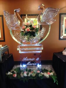 Front Swans 4 Blocks