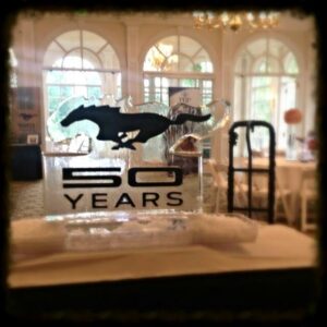 Mustang 50th Anniversary